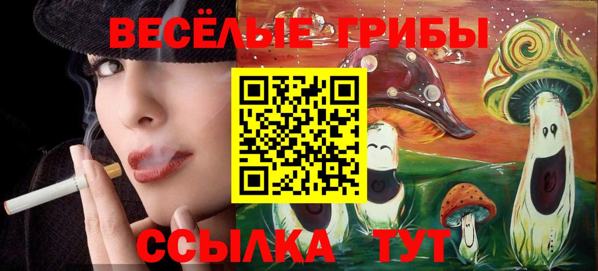 Галлюциногенные грибы GOLDEN TEACHER Йошкар-Ола