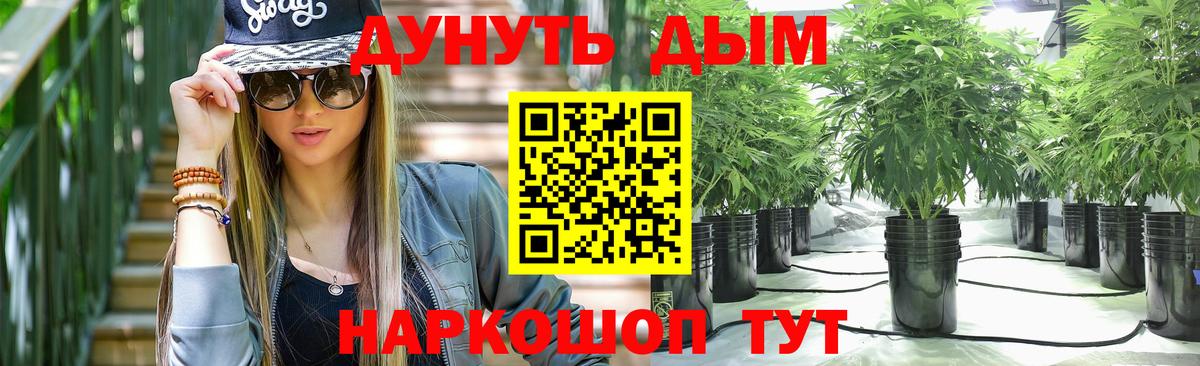 Бошки Шишки сатива  Бошки Шишки индика  МАРИХУАНА тримм  Йошкар-Ола  Вход с VPN 